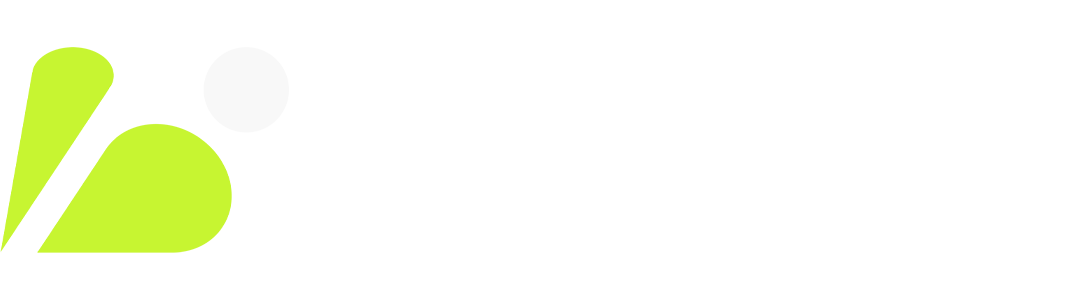 Brand and Visual Identity Designer